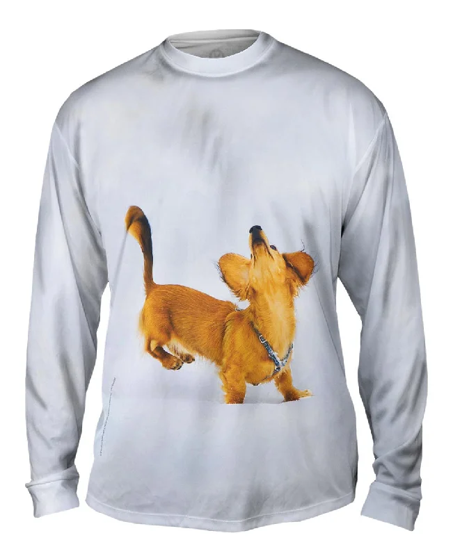 Comfortable Casual Long Sleeve-Dachshund Snow Dance