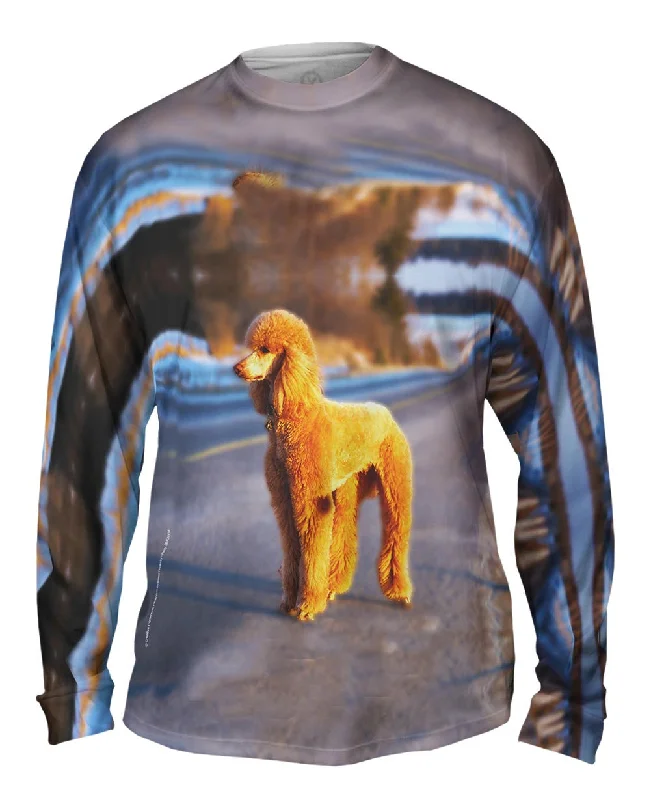 Eco-Friendly Long Sleeve-Dusty Poodle