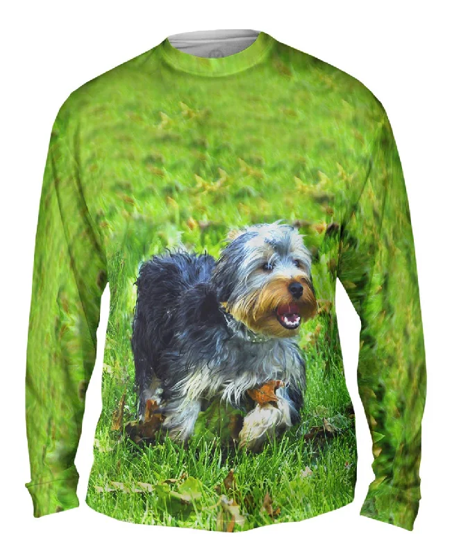 Stylish Long Sleeve Hoodie-Curly Haired Yorkie Running