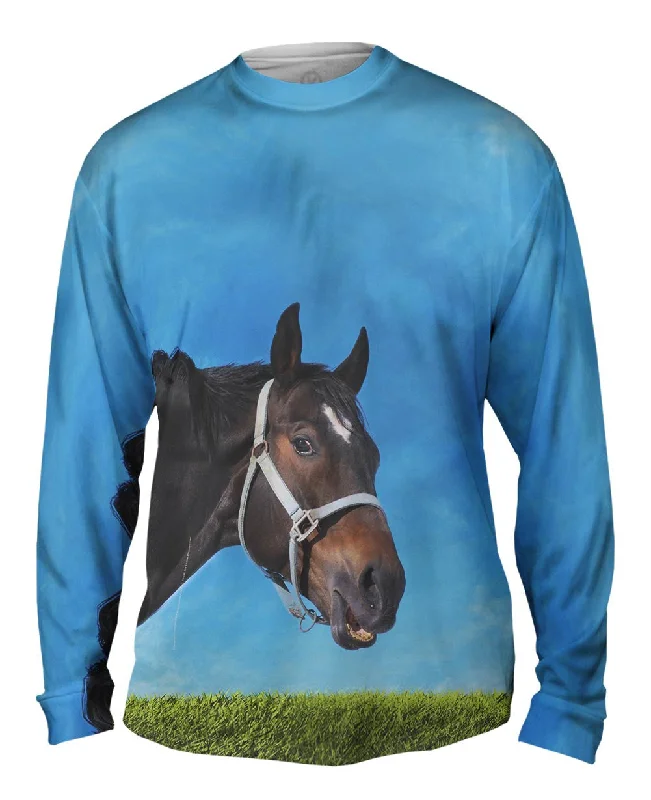 Soft Sherpa Long Sleeve-Curious Black Horse