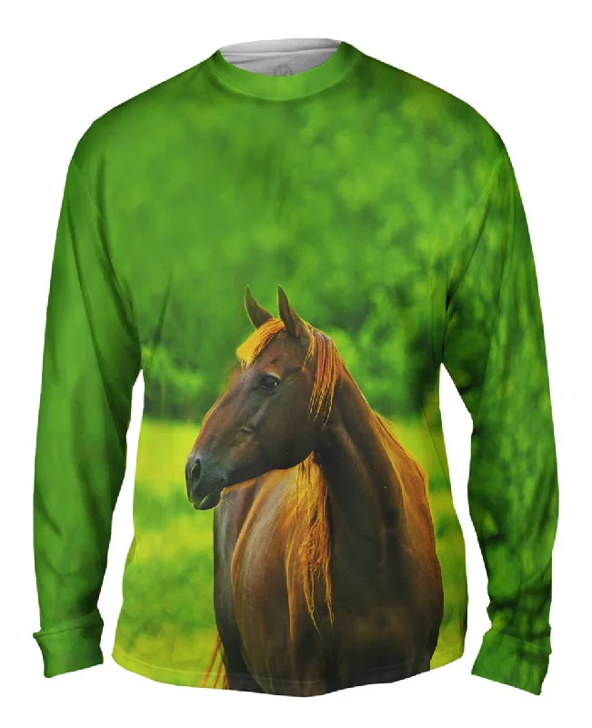 Simple Logo Long Sleeve-Decisive Horse