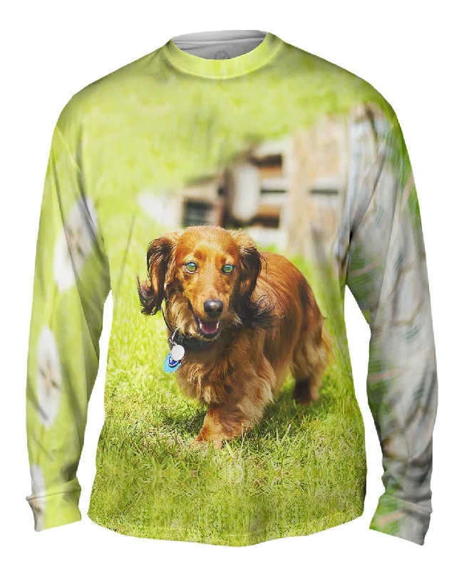 Soft Stretch Long Sleeve-Dachshund Surveys Backyard