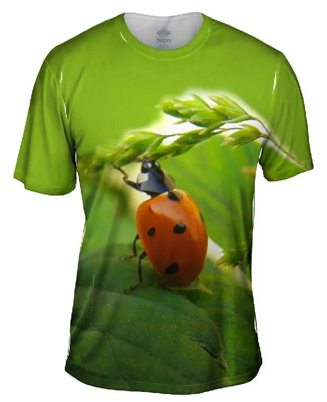 Artistic Print T-shirt-Pull Ups Ladybug