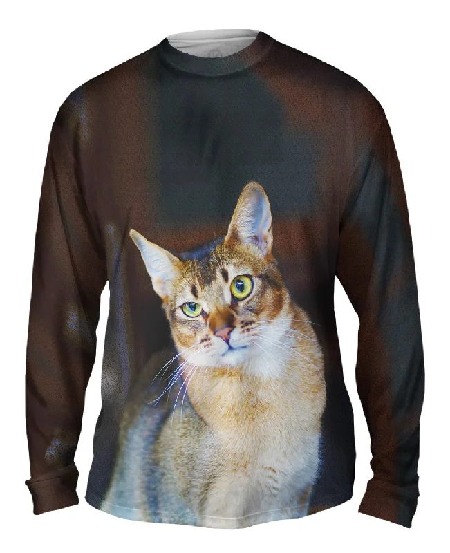 Premium Cotton Long Sleeve-Confused Cat