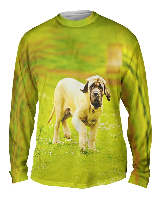 Fashionable Long Sleeve Pullover-Courageous Mastiff