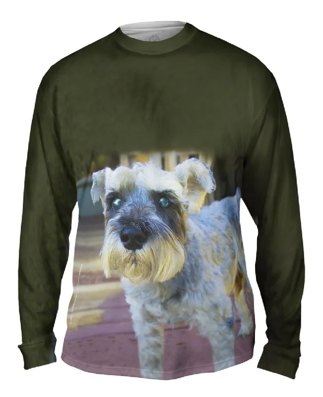 Bold Color Block Long Sleeve-Curious Schnauzer