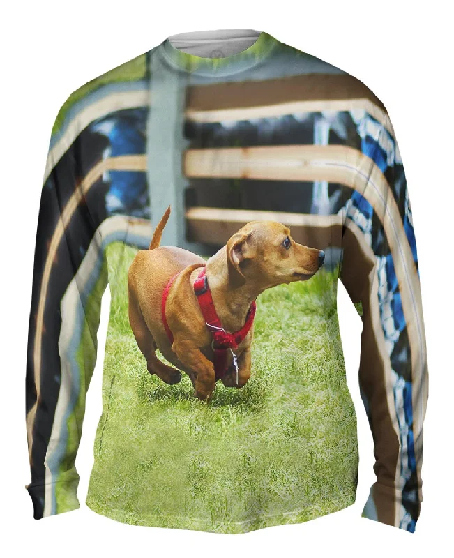 Graphic Logo Long Sleeve-Dachshund Sprint