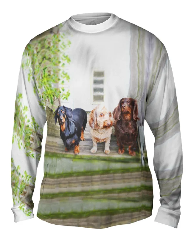 Premium Long Sleeve Pullover-Dachshund Variety Pack