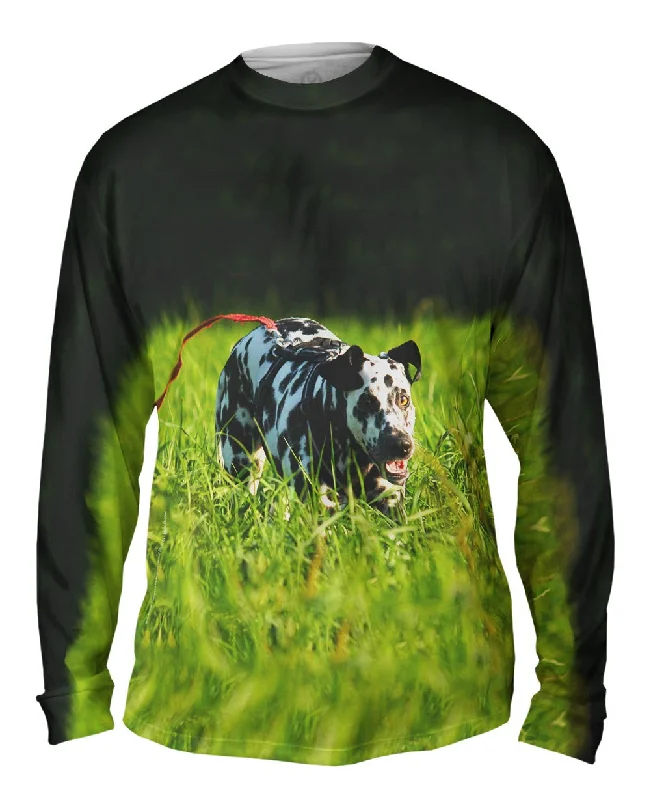 Stylish Printed Long Sleeve-Dalmation On Hunt