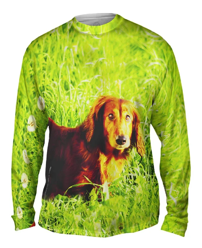 Premium Quality Long Sleeve-Dachshund In Grass